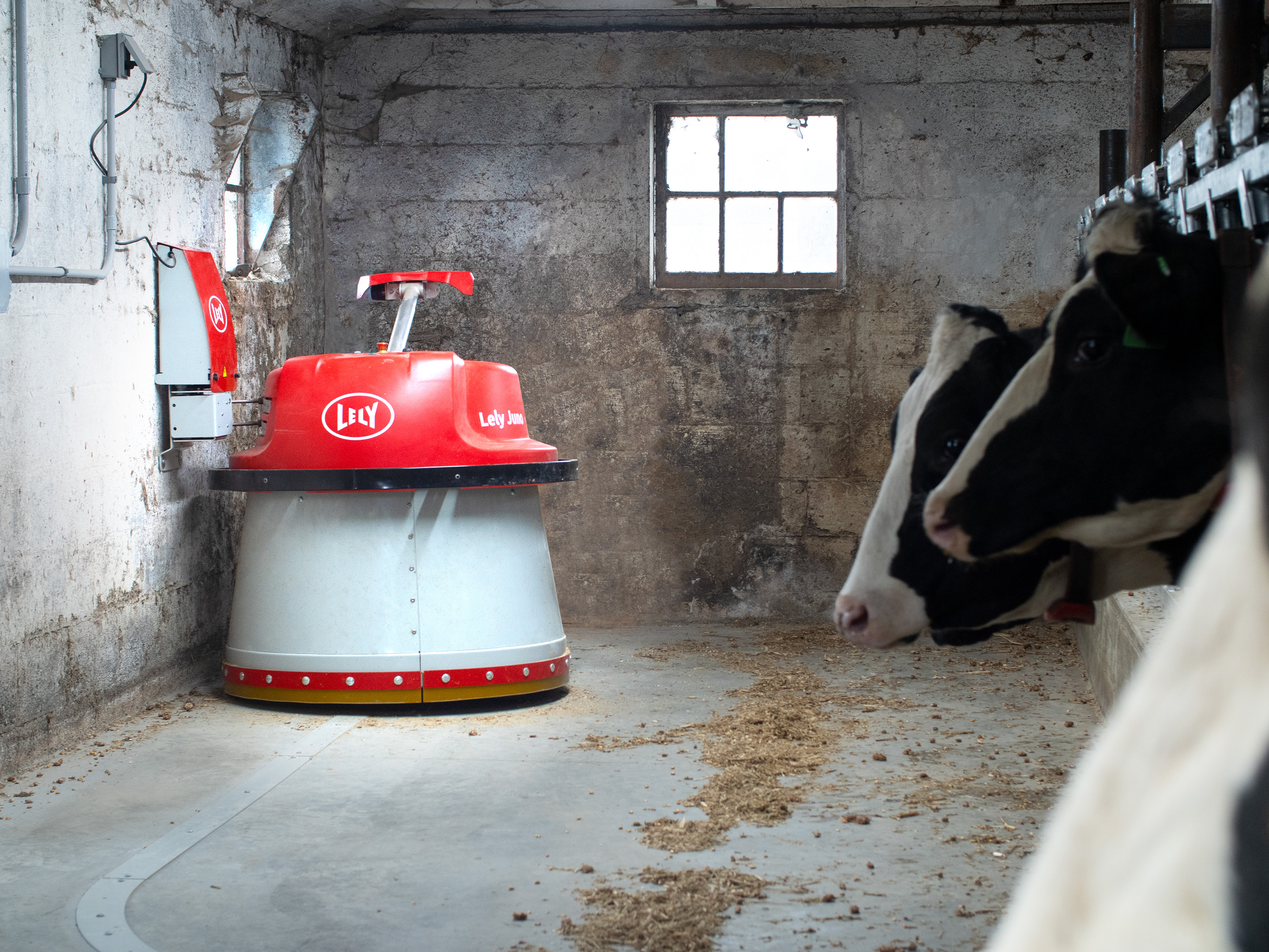 Lely Robot With Cows